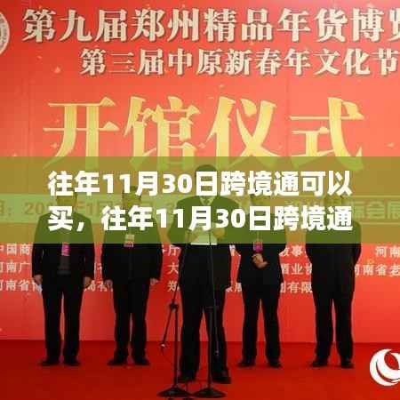 往年11月30日跨境通购买指南,产品特性、体验与目标用户群体深度解析