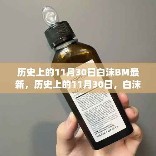 多维视角下的白沫BM事件,历史上的11月30日深度探讨