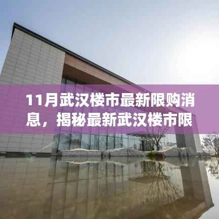 揭秘武汉楼市最新限购政策,深度解读与趋势预测(十一月版)