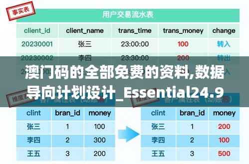 澳门码的全部免费的资料,数据导向计划设计_Essential24.909-2
