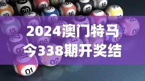 2024澳门特马今338期开奖结果,全面解析与深度体验_精英款7.568-6