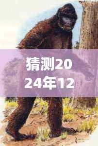 探寻北美野人之谜,温馨有趣的旅程,预测2024年12月2日的热门话题