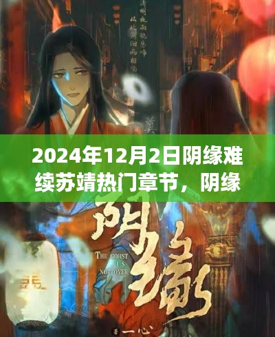 阴缘难续苏靖故事深度解析,以2024年12月2日为界