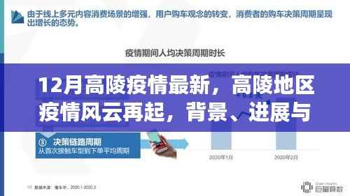 高陵地区疫情风云再起,最新进展、背景及影响洞察