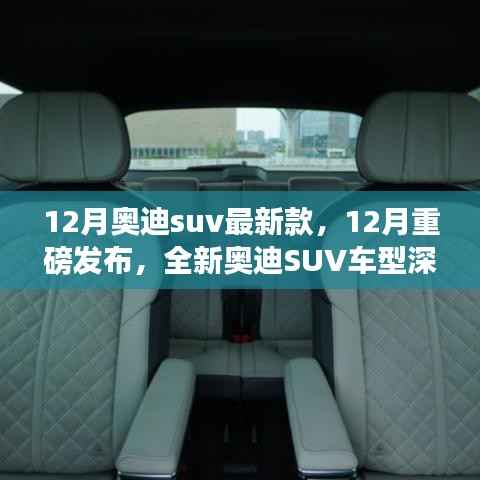 重磅发布!全新奥迪SUV车型深度评测与介绍,12月最新款奥迪SUV一览无余
