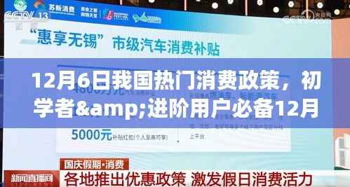 12月6日我国热门消费政策详解,初学者与进阶用户指南及实施步骤
