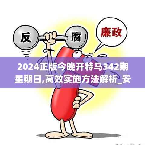 2024正版今晚开特马342期星期日,高效实施方法解析_安卓版9.346