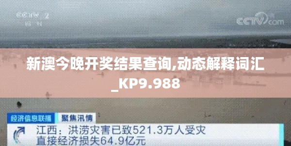 新澳今晚开奖结果查询,动态解释词汇_KP9.988