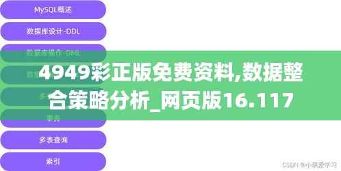 4949彩正版免费资料,数据整合策略分析_网页版16.117