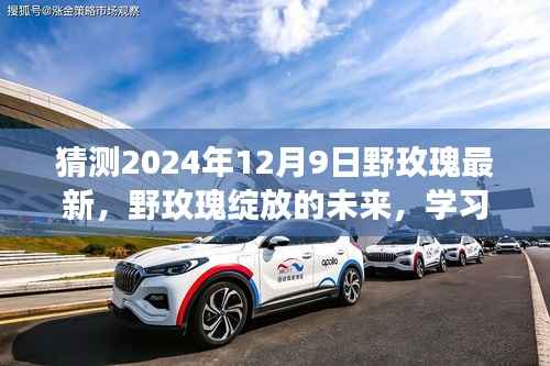 野玫瑰绽放的奇妙之旅,学习变化与自信成就的未来展望,预测至2024年12月9日