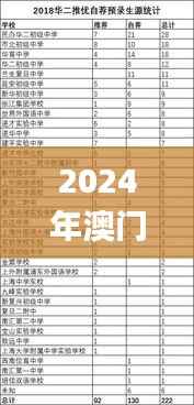 2024年澳门正版资料全年灬,权威说明解析_限量款2.435