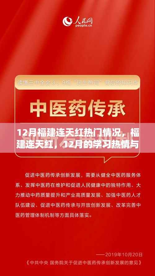 福建连天红,12月学习热情与自信成就之歌的辉煌篇章