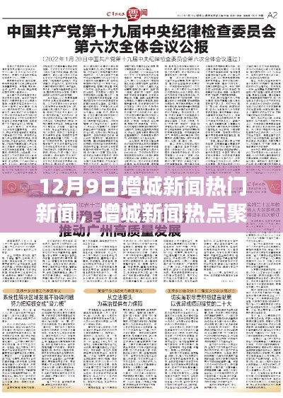 12月9日增城新闻热点聚焦,回顾与影响