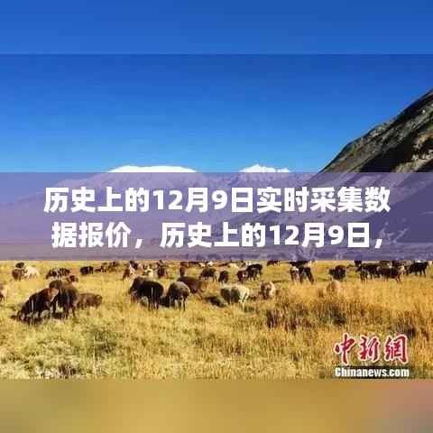 探寻自然美景之旅,历史上的12月9日实时数据报价与心灵宁静启程