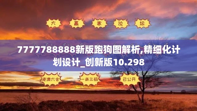 7777788888新版跑狗图解析,精细化计划设计_创新版10.298