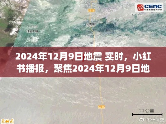小红书播报,聚焦2024年12月9日地震实时动态
