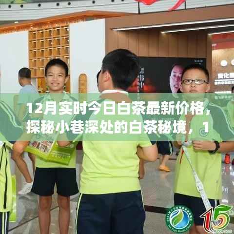探秘小巷深处的白茶秘境,揭秘十二月最新白茶价格与故事