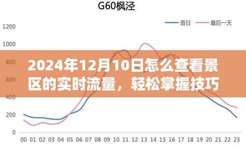 如何轻松掌握技巧,在2024年12月10日查看景区实时流量