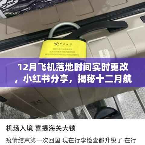 小红书揭秘,十二月航班落地时间实时更改攻略与飞行体验分享