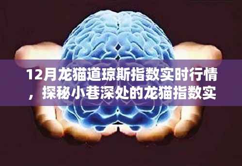 探秘小巷深处的龙猫指数实时行情馆,揭秘12月龙猫道琼斯指数实时动态,别样投资氛围体验