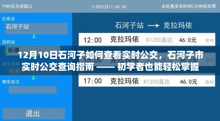 初学者也能轻松掌握,石河子市实时公交查询指南(附查询步骤)