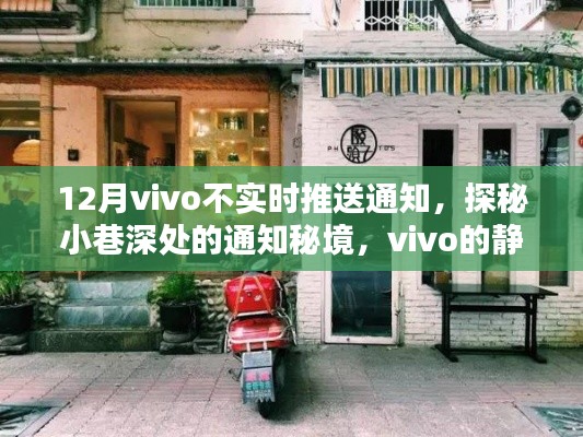 探秘小巷深处的通知秘境,vivo静默时光与特色小店的邂逅故事