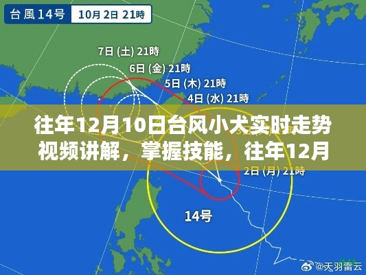 往年12月10日台风小犬实时走势详解,视频讲解与步骤指南