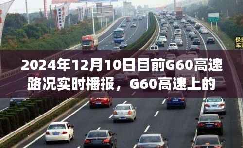 G60高速实时路况播报,温情时光下的奇妙旅程