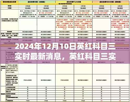 英红科目三实时更新,聚焦最新动态与影响洞察