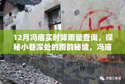 冯庙村降雨秘境,实时查询与小巷深处的雨韵探秘