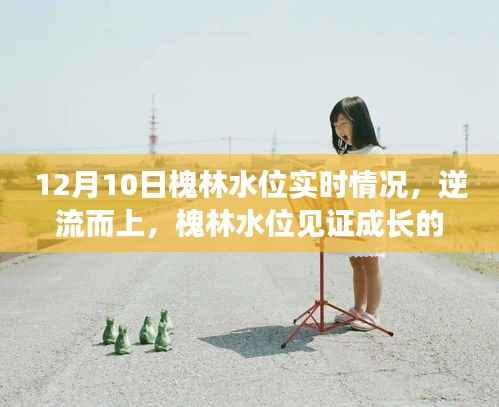 槐林水位逆流而上,见证成长的力量与知识的博弈