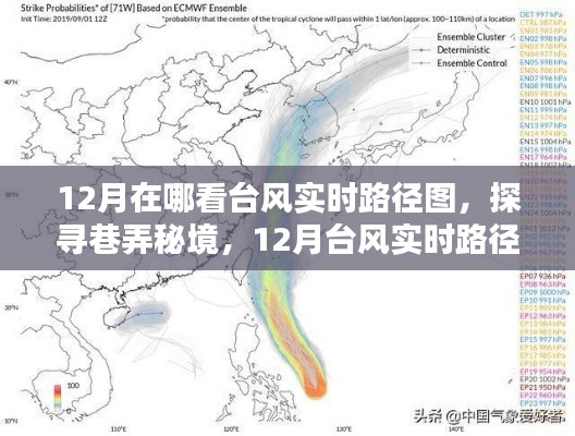 探寻巷弄秘境,揭秘十二月台风实时路径观测圣地