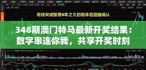 348期澳门特马最新开奖结果:数字串连你我,共享开奖时刻的紧张与兴奋