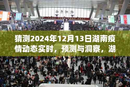 2024年12月13日湖南疫情动态预测与实时洞察,未来景象展望