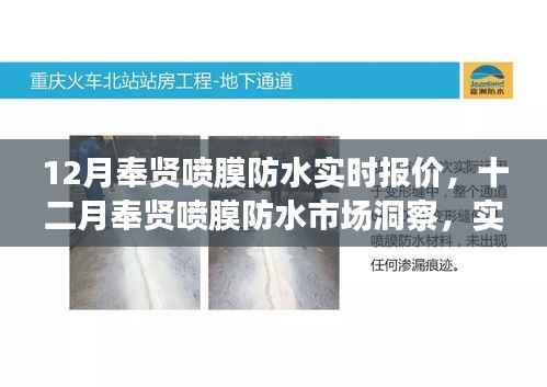 12月奉贤喷膜防水市场深度洞察,实时报价与行业影响解析
