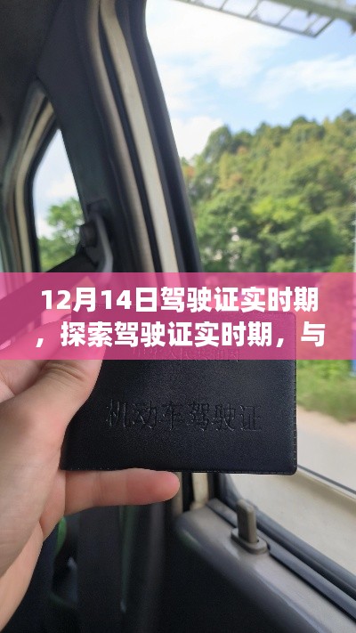 探索驾驶证实时期,与自然美景相遇的宁静之旅