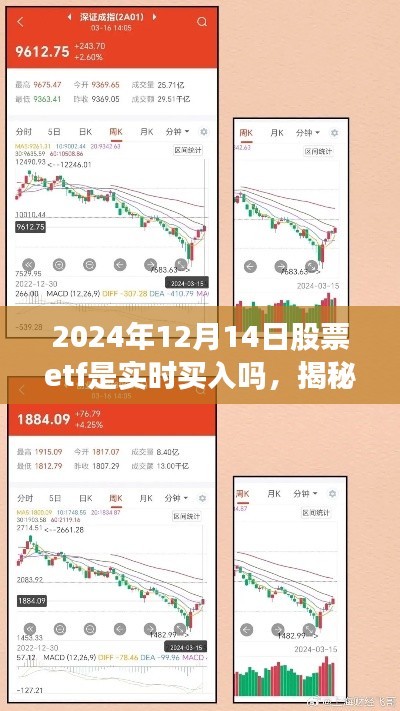揭秘,2024年12月14日股票ETF实时买入指南与操作揭秘