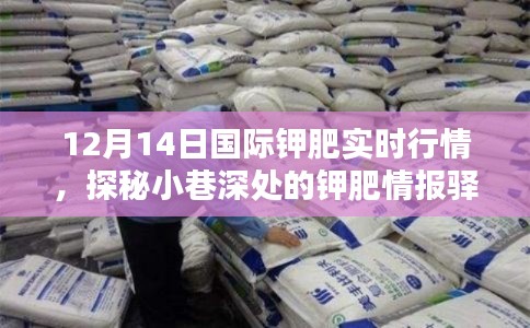 媒体报道 第317页