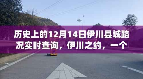 伊川之约,历史12月14日路况实时查询与温馨故事
