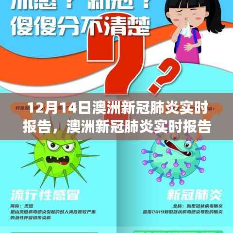 澳洲新冠肺炎实时报告深度洞察,十二月十四日最新报告发布