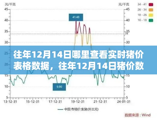 往年12月14日猪价数据深度解析,实时查询与评测指南