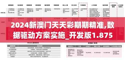 2024新澳门天天彩期期精准,数据驱动方案实施_开发版1.875