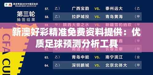 新澳好彩精准免费资料提供:优质足球预测分析工具