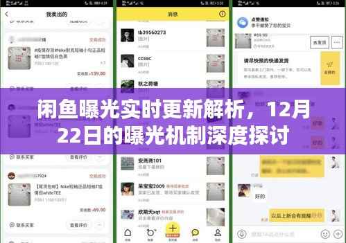 闲鱼曝光机制深度解析,实时更新与12月22日曝光机制探讨