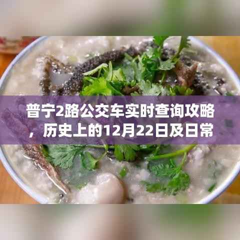 普宁2路公交车实时查询攻略,历史日期与日常查询步骤详解