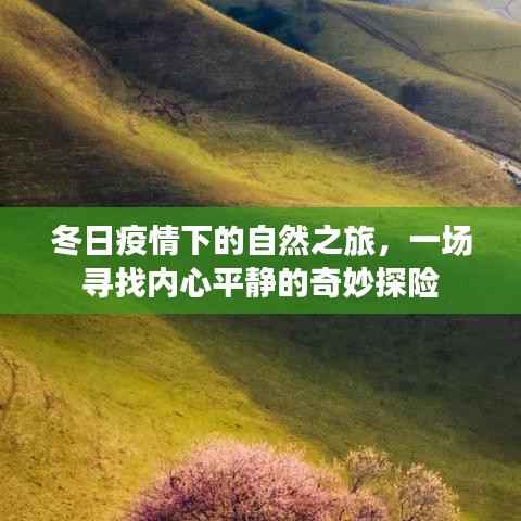 冬日疫情下的自然之旅,心灵宁静的奇妙探险之旅