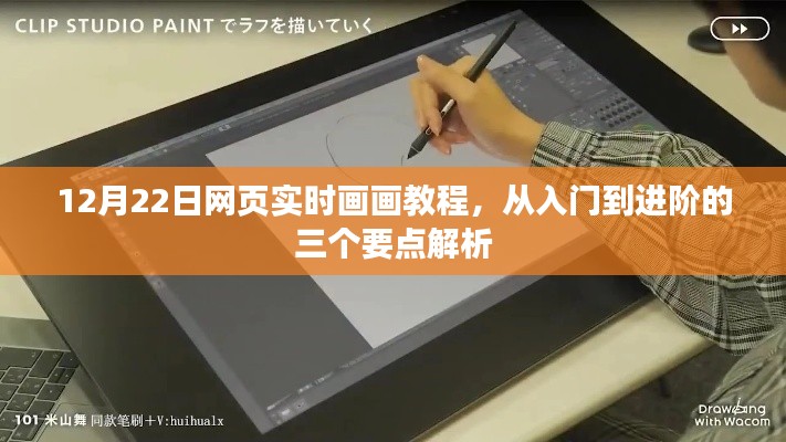12月22日网页实时画画教程,入门到进阶要点全解析