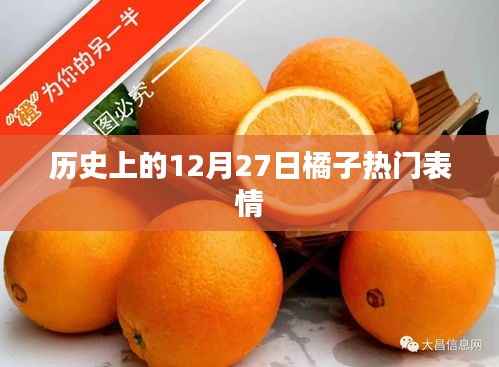 橘子表情的历史演变,探寻12月27日的热门表情符号