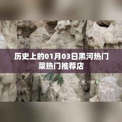 黑河热门菜推荐,一月三日美食之旅