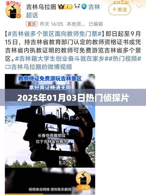 2025年元旦热门侦探片揭晓